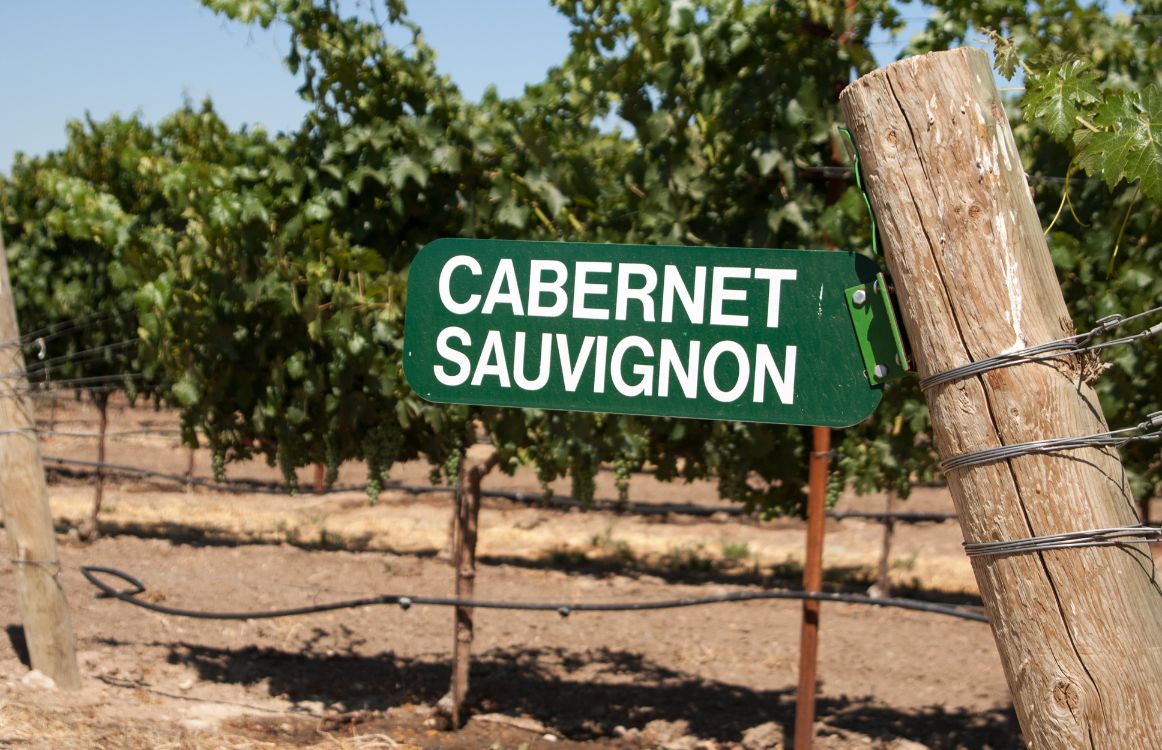 Best Yeast for Sauvignon