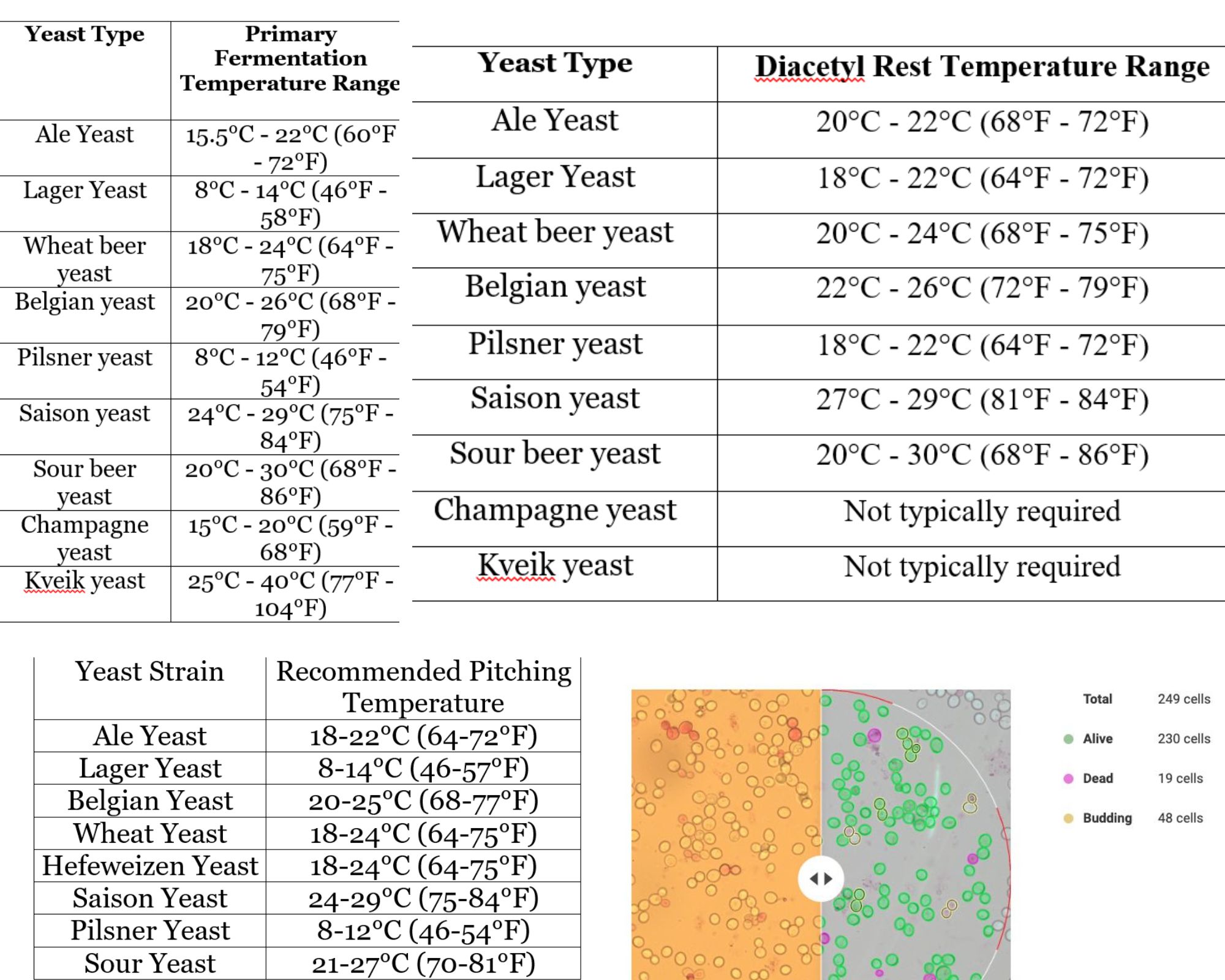 Fermentation Temperature Chart