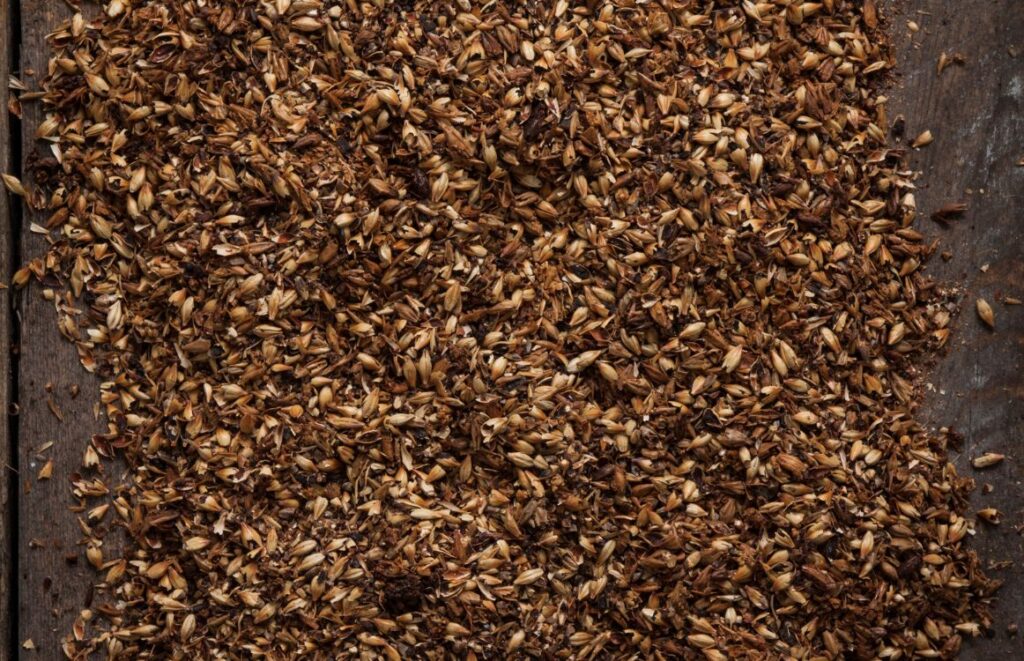 Is Malted Barley Extract Gluten Free is-malted-barley-extract-gluten-free