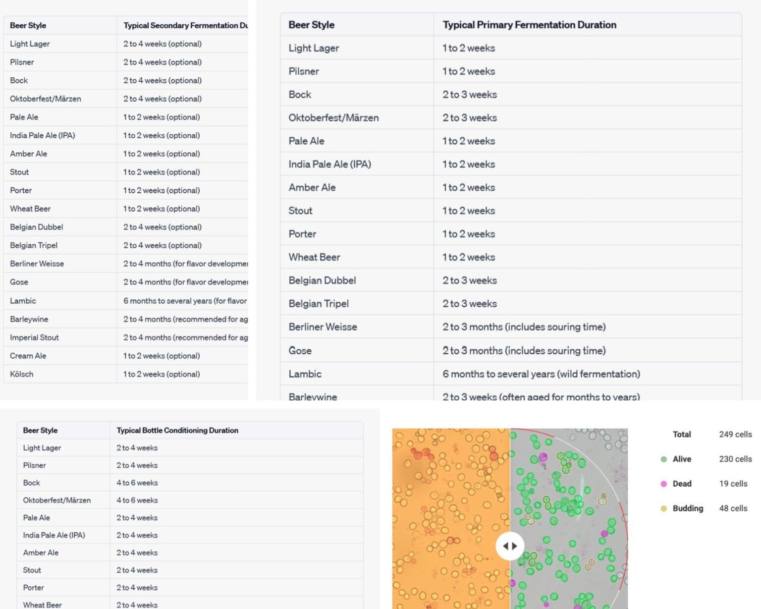 Beer Fermentation Time Chart