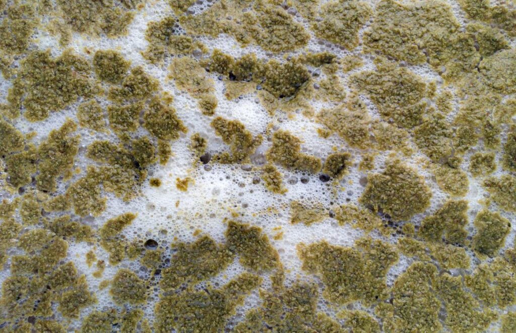 Yeast Flocculation Chart