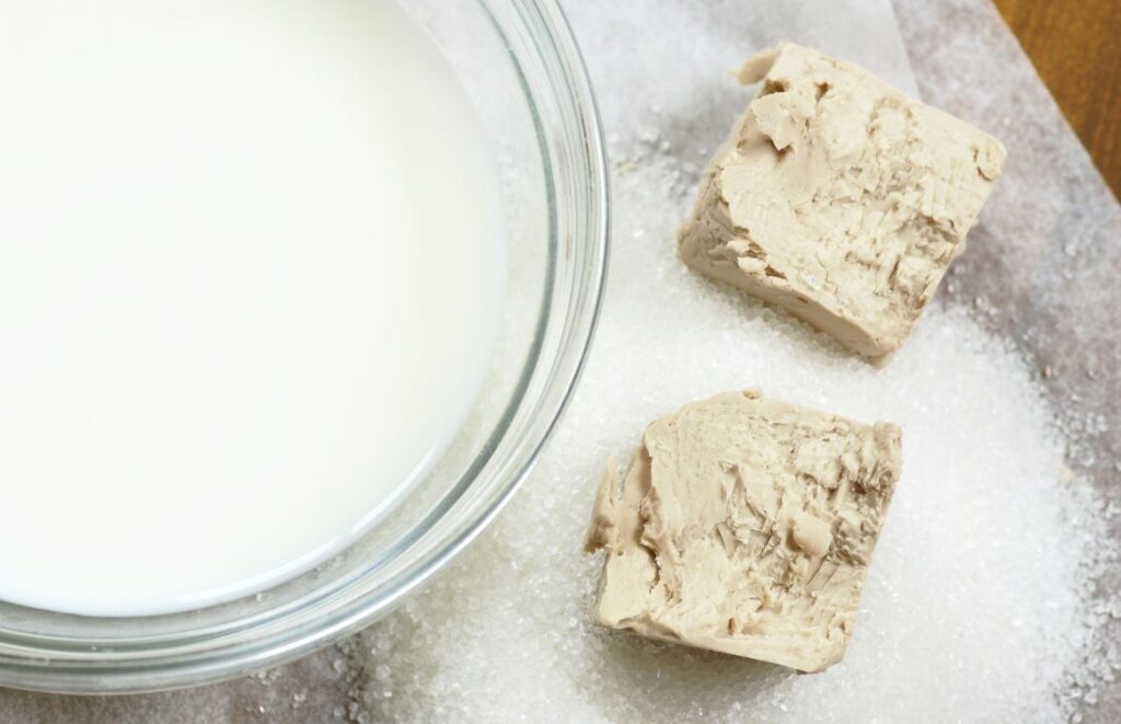 Can Yeast Ferment without Sugar?